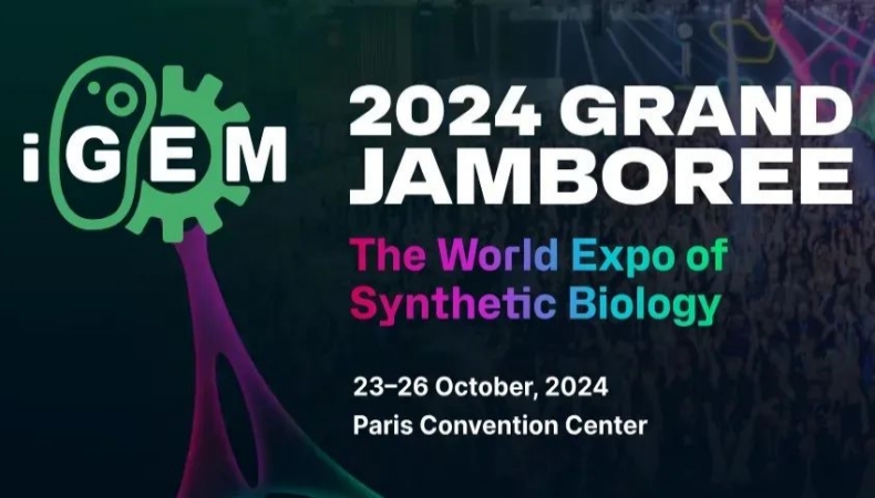 德英乐教育新闻图例